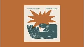 Tommy Guerrero - Amber of Memory (Full Album)