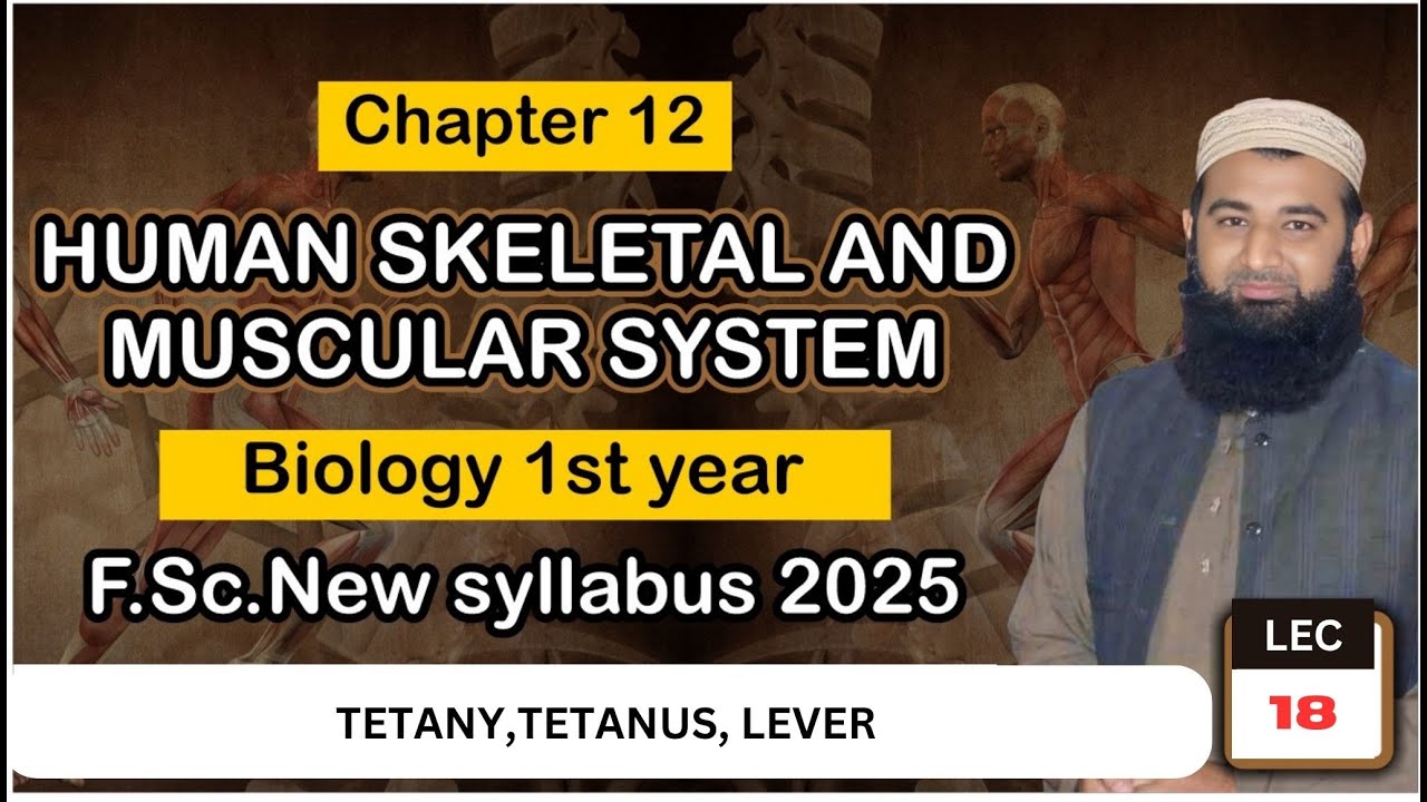 Tetany, muscle pull, lever