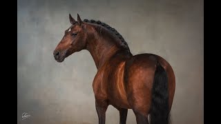 Gallowdance||Equestrian Music Video||