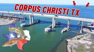 This is Why You Fish Spoil Islands (Corpus Christi, TX)