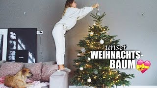 Wir kaufen unseren TANNENBAUM | janasdiary