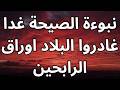 نبوءة توقعات الصيحة غدا غادروها اوراق الرابحين