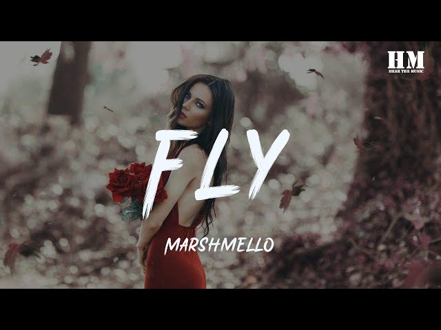 Marshmello - Fly [lyric] class=