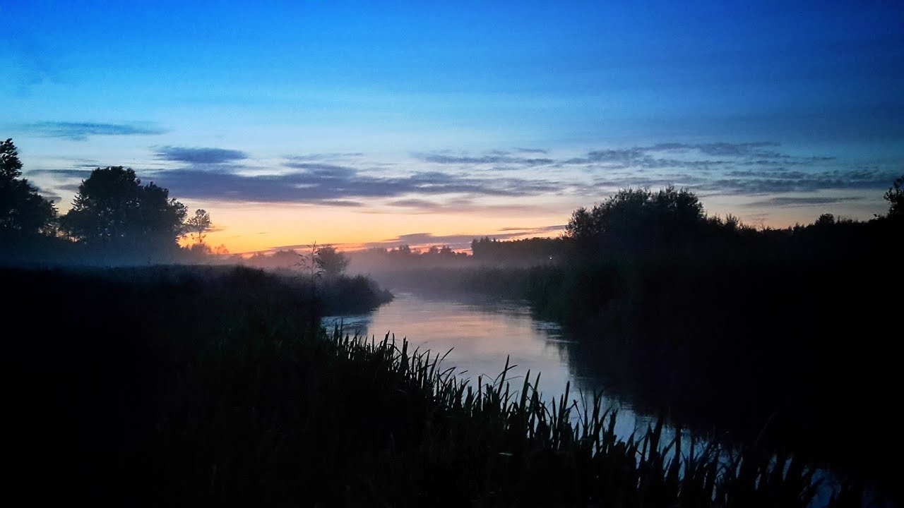 Late summer Seatrout Dreams 2017