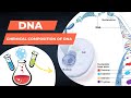 🔎🔍Unveiling the Secrets Behind DNA's Chemical Composition!, Class 12 education suggestion 2023