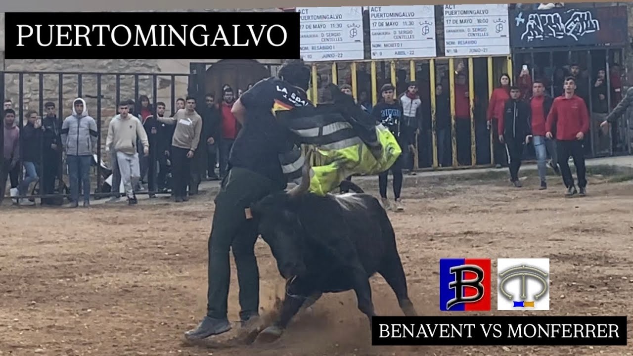 PUERTOMINGALVO (17/05/25) BENAVENT VS HNOS MONFERRER