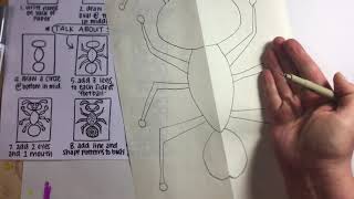 How to Draw a symmetrical Insect