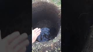 Копка под кольца #сад #стройка #копка ямы