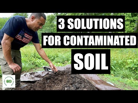 Give Me Fertility, Or I'll Get it Myself! // Contaminated Soil