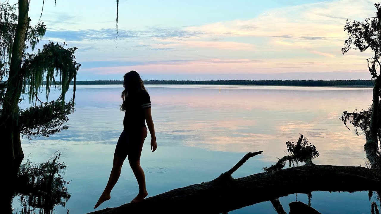ULTIMATE GAINESVILLE FLORIDA TRAVEL GUIDE - YouTube