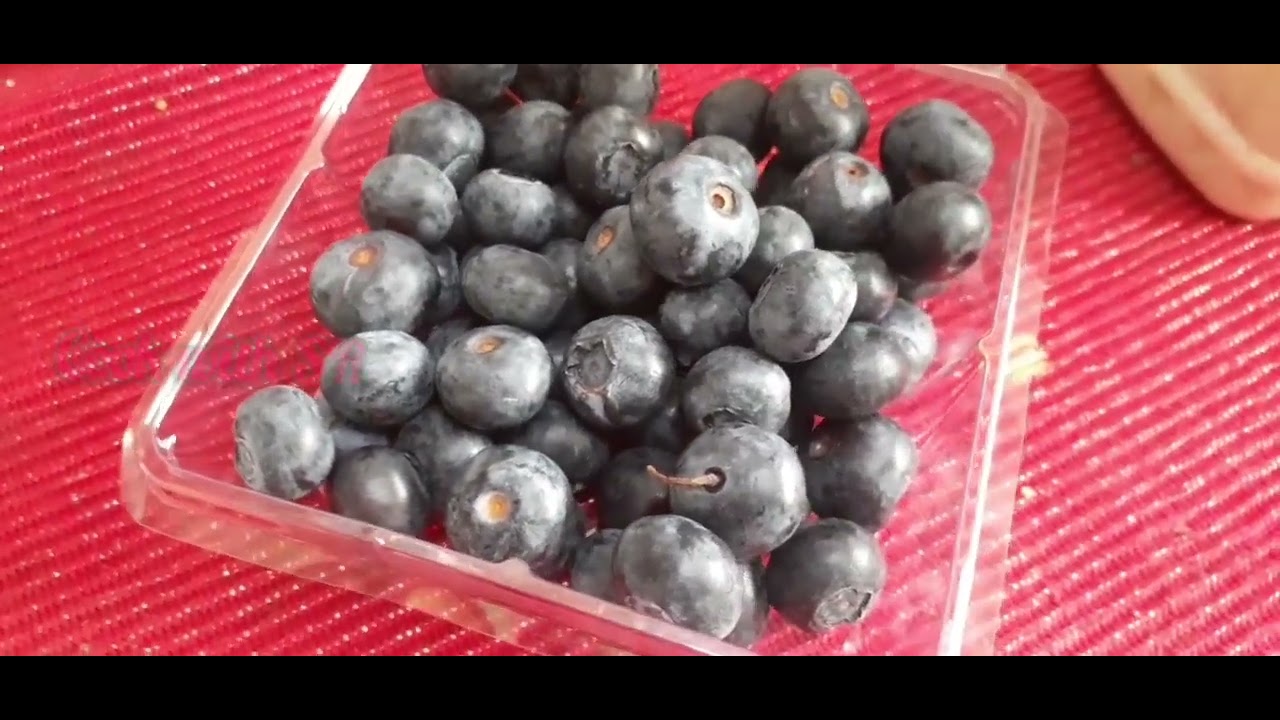 Blueberry Health Benefits for Women Tamil Blueberry சாப்பிட்டா