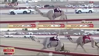 ياهل الختامي   حصريا         هجن الشحانية الظبي   المنشد   صلاح الرحبي   كلمات   سالم ال حمر  سمعها