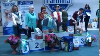 11.11.2018 Моо Фосс, Моно Левреток