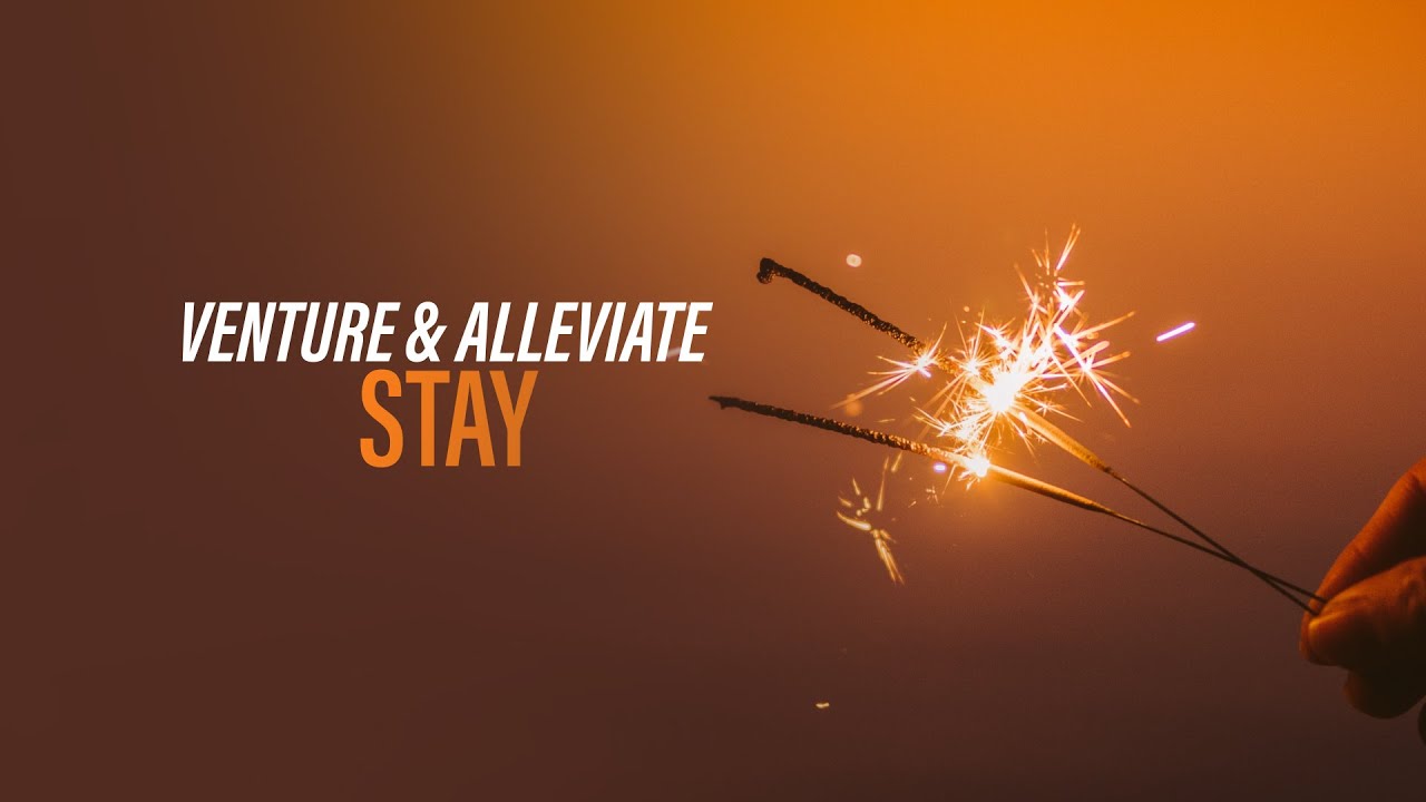 Venture & Alleviate - Stay (Official Audio) [Copyright Free Music]