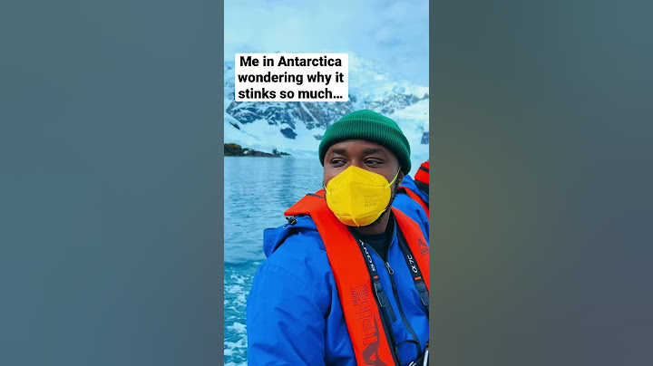 WHAT’S THAT SMELL? |  #travel #antarctica #traveling #travelling #cruise #penguins #wildlife