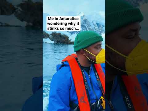 WHAT’S THAT SMELL? | #travel #antarctica #traveling #travelling #cruise #penguins #wildlife