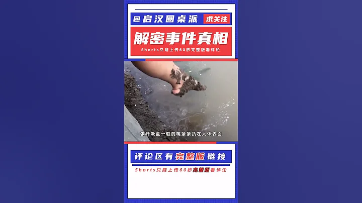 如果水蛭不小心进入人体，它能在里面存活吗？人类又会有何反应？ - 天天要闻