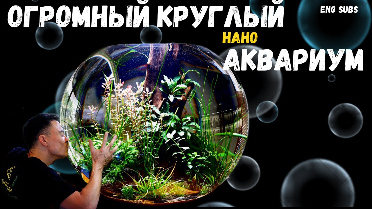 КРУГЛЫЙ НАНО АКВАРИУМ БЕЗ СО2 И ФИЛЬТРА | NANO BOWL AQUARIUM WITHOUT CO2 AND FILTER | TUTORIAL