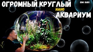 :     2   | NANO BOWL AQUARIUM WITHOUT CO2 AND FILTER | TUTORIAL