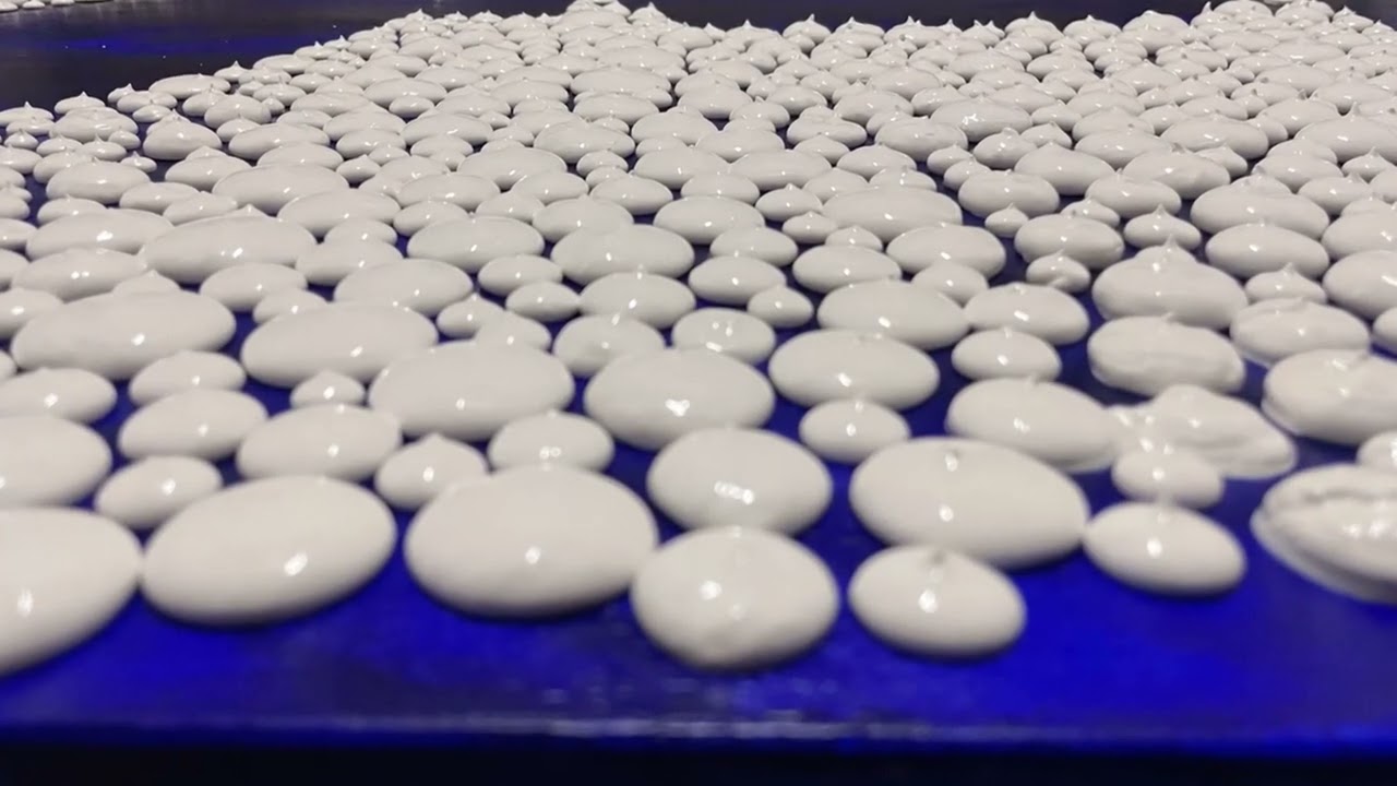 DOC -Doctor Of Colors | “A giant LOVE” 2023