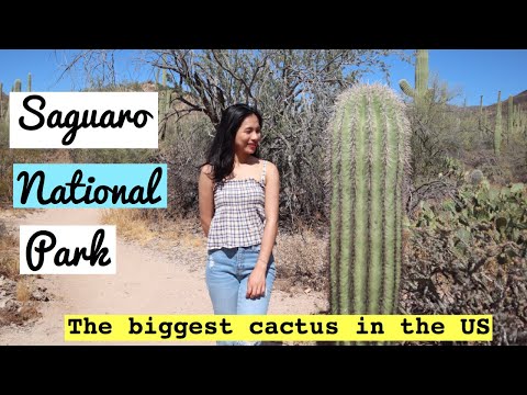 Video: Saguaro có thể phát triển ở Texas không?