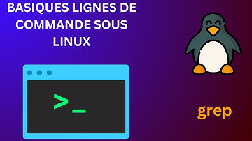 Basiques Lignes de commande sous Linux #15: grep