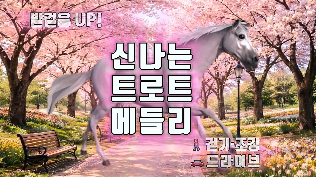 신나는 트로트 메들리 2 🌸 발걸음 UP! 걷기·조깅·드라이브용 경쾌한 트로트