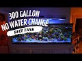 300 gallon reef tank perfection zero water changes all beauty 4k