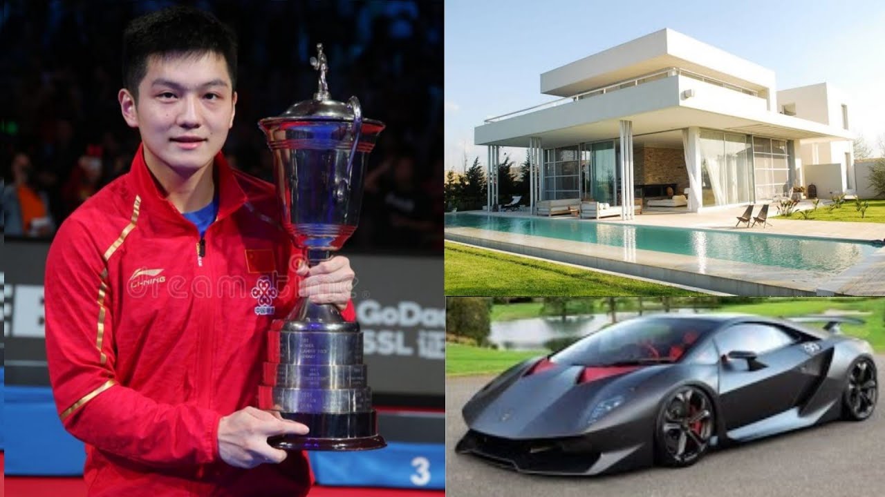 Fan Zhendong (Table Tennis Player) Facts