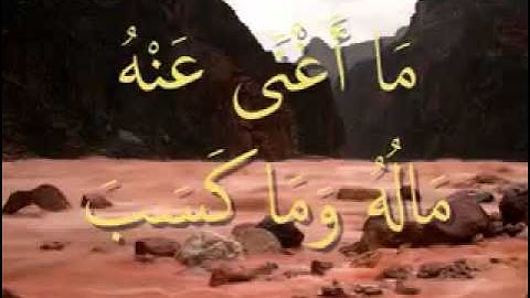 القرآن المعلم /شبكة المصطفى / بصوت المنشاوي - سورة  المسد