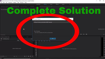 Video Bit Depth is Unsupported Adobe Premiere Pro | Full Solution (Hindi/Urdu)