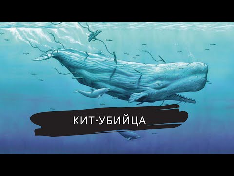 Мультфильм приключения китенка моби дика