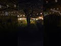 Japan 二本松城 三ノ丸跡上段. Castle open 24 hrs besutiful.