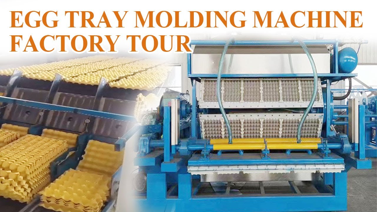 Egg Tray Molding Machine Operating in Mozambique, and Factory Tour in