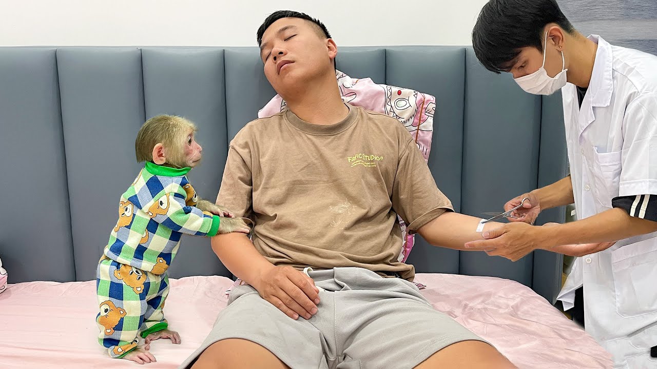 Cubis monkey worried when seeing doctor treating sick dad!