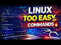 Kali Linux Commands for Beginners (Real Output Explanation) 🔥