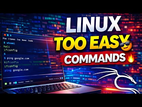 Kali Linux Commands for Beginners (Real Output Explanation) 🔥