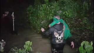 [LIVE]licin,berubah jadi buaya putih