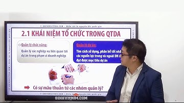 Quản trị dự án - Project management -C2: Tổ chức dự án #quantriduan #duan #quảntrịdựán #dựán