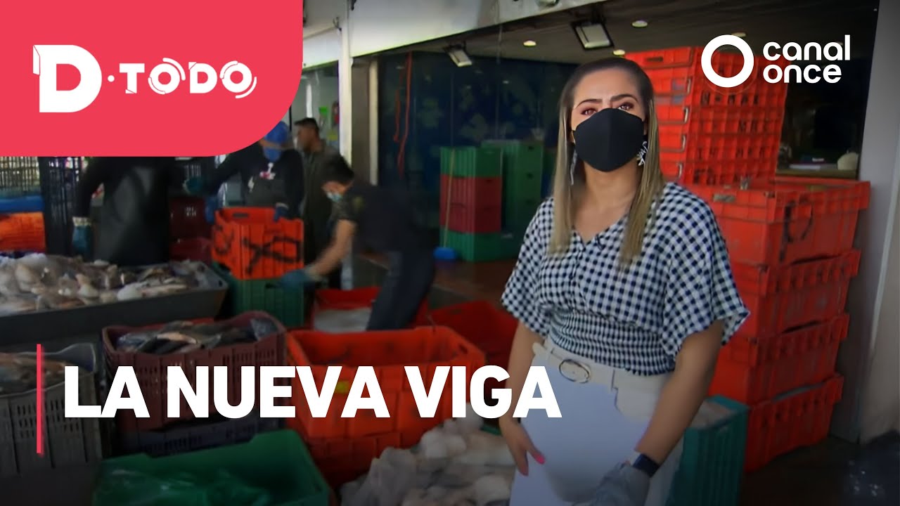 D Todo - La Nueva Viga