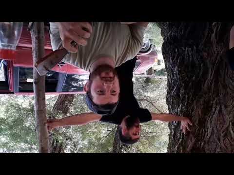 სოსო უძილაური  უკანა ფშავი