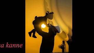 O Nanna Kanne whatsapp status free download 2020