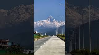 Live the Life of Eternity💮🌱 #nature #himalayas #travelling