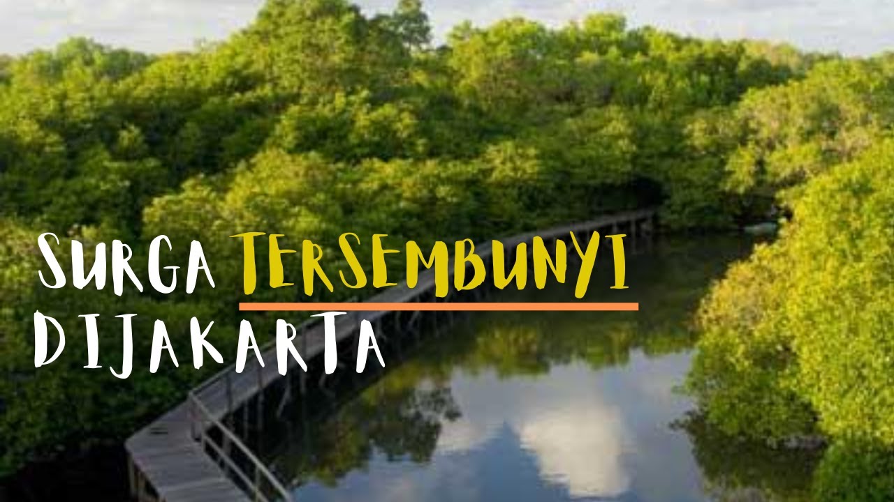 Taman Alam Indah Sandakan TAMAN WISATA MANGROVE