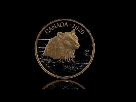 Add This Five Nines Pure Gold Portrait Of A Grizzly Bear To Your Coin Collection Today.