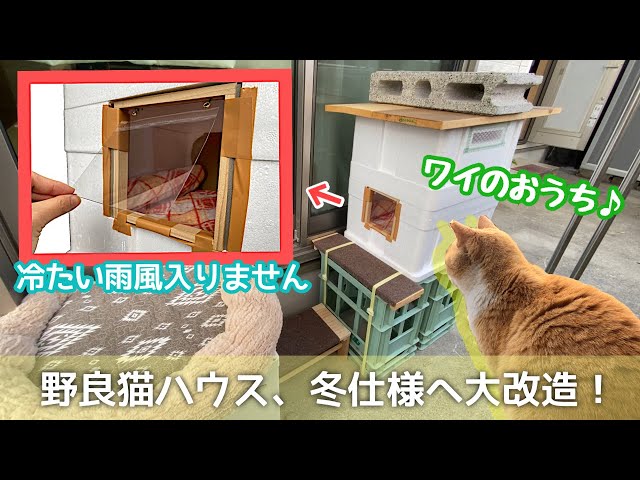 眺めが良くて寒さもしのげる！冬用猫ハウスへ大改良【野良猫の小屋