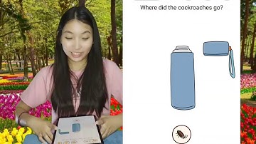 Brain Find Level 27 Where did the cockroaches go Walkthrough