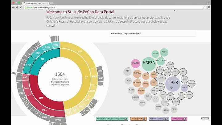Exploring childhood cancer genomics with ProteinPaint