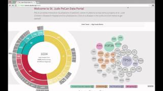 Exploring childhood cancer genomics with ProteinPaint Profile