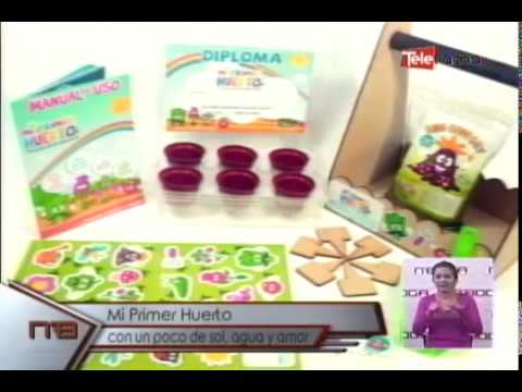 Mi primer huerto con un poco de sol, agua y amor